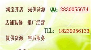 淘寶創業全攻略 從開店、推廣到專業培訓，解鎖網店經營核心技術